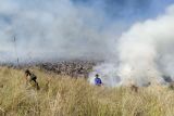 Bukit Teletubbies di Bromo terbakar, diduga dipicu ulah pengunjung