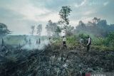 Polda Sumsel proses 16 kasus pembakaran lahan