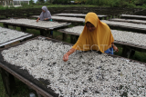 Kenaikan harga garam berdampak pada produksi ikan kering