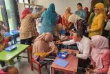 BKKBN-wanita Buddhis jadi bunda asuh anak stunting