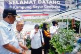 Pepabri Palembang berikan pelatihan  hidroponik ke purnawirawan