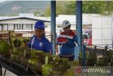 Pertamina lakukan penambahan 40 ribu tabung LPG 3 kg di Sulut