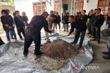 Petani dan penyuluh di Bartim dilatih menanam tanaman pangan berbasis organik