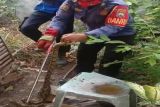 Damkarmat Lampung Selatan evakuasi ular sanca di kandang ternak warga