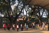 Taman Gor menjadi pilihan utama warga Kota Palu untuk berolahraga