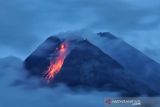 Gunung Merapi luncurkan tiga kali guguran lava pijar sejauh 1,5 km