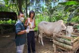 Gunungkidul periksa hewan ternak acuan penerbitan SKLB