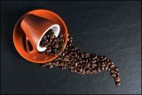 Ini dia perbedaan kopi jenis arabika dan robusta