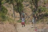 Dua anak membawa air dari sumber mata air di Desa Selomukti, Mlandingan, Situbondo, Jawa Timur, Senin (18/9/2023). Sebanyak 252 kepala keluarga yang berada di Dusun Jerugen kesulitan air bersih dan untuk memenuhi kebutuhan air bersih tersebut mereka menempuh jarak sekitar dua kilometer dari rumahnya. ANTARA Jatim/Seno/ZK 