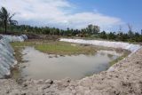 Kekeringan, usaha ikan di Puyung terancam gagal panen