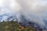 BNPB: Cakupan asap karhutla Sumsel terkendali