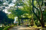 Oak Tree Semarang, asri dan cocok untuk Staycation