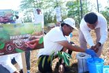Pelindo Regional 4 menanam 2.500 pohon dukung pelestarian lingkungan