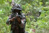 Prajurit Yonif Raider 112 Dharma Jaya melakukan penyergapan ke lokasi musuh saat latihan Uji Siap Tempur (UST) di pusat latihan kawasan  perbukitan kabupaten Aceh Besar, Aceh, Selasa (19/9/2023). Latihan Uji Siap Tempur melibatkan Kompi Senapan B dan Kompi Senapan C itu untuk meningkatkan dan menguji  kemampuan tempur  sesuai taktik dan teknik dalam mewujudkan prajurit terlatih dan profesional. ANTARA FOTO/Ampelsa.