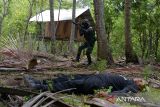 Prajurit Yonif Raider 112 Dharma Jaya melumpuhkan salah seorang musuh  saat latihan Uji Siap Tempur (UST) di pusat latihan kawasan  perbukitan kabupaten Aceh Besar, Aceh, Selasa (19/9/2023). Latihan Uji Siap Tempur melibatkan Kompi Senapan B dan Kompi Senapan C itu untuk meningkatkan dan menguji  kemampuan tempur  sesuai taktik dan teknik dalam mewujudkan prajurit terlatih dan profesional. ANTARA FOTO/Ampelsa.