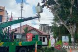 Petugas dari Dinas Lingkungan Hidup Kota Pangkalpinang, Provinsi Kepulauan Bangka Belitung saat melakukan penebangan pohon yang dinilai rawan tumbang di Jalan Yos Sudarso Pasir Garam pada Selasa (19/9). (Antara/ Rustam)