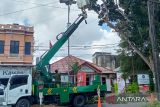 Petugas dari Dinas Lingkungan Hidup Kota Pangkalpinang, Provinsi Kepulauan Bangka Belitung saat melakukan penebangan pohon yang dinilai rawan tumbang di Jalan Yos Sudarso Pasir Garam pada Selasa (19/9). (Antara/ Rustam)