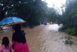 Curah hujan tinggi, banjir melanda sejumlah lokasi di Pasaman Barat