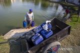 Warga mengambil air menggunakan jeriken di kolam air Desa Tamansari, Indramayu, Jawa barat, Rabu (20/9/2023). Saat musim kemarau warga memanfaatkan kolam air tersebut untuk memenuhi kebutuhan mandi, memasak dan air minum. ANTARA FOTO/Dedhez Anggara/agr
