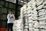 Harga beras relatif stabil, stok beras di Tanah Datar surplus 366 ton