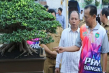 Pameran bonsai di Prabumulih