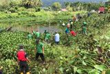 Pemkab Agam bersihkan 39 ton enceng gondok di Danau Maninjau
