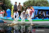 Dinas Perikanan tingkatkan peran warga cegah penangkapan ikan ilegal