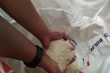 Bulog Lampung catat 1.600 ton bansos beras telah tersalurkan