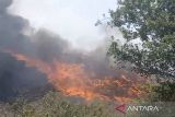 Pemkot Surakarta masih tetapkan tanggap darurat meski  api Cempo padam