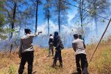 Damkar : Kebakaran lahan di objek wisata Malino diperkirakan delapan hektare