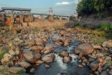 Foto udara aliran air Sungai CIliwung yang menyusut di Katulampa, Bogor, Jawa Barat, Rabu (27/9/2023). Debit air Sungai Ciliwung mengalami penurunan drastis akibat musim kemarau. ANTARA FOTO/Yulius Satria Wijaya/tom,.
