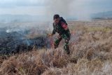 Kebakaran lahan persawahan di Lembor berhasil dilokalisir