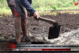 DPRD Palangka Raya imbau warga buka lahan tanpa membakar