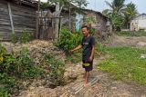 Warga Serang gali kolam pemancingan yang mengering untuk cari air bersih