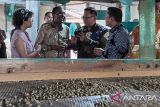Perkebunan  Nusantara ajak Ethiopia bangun bisnis kopi berkelanjutan