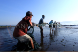 Nelayan pengguna jaring tarik pantai