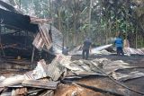 Pemkab Agam bantu padamkan api bakar peternakan ayam di Padang Pariaman