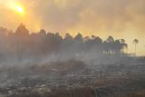 Sukses padamkan Karhutla, BPBD Pesisir Selatan : Kabut asap kiriman tetangga
