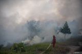 Gapki siap bantu pemerintah cegah kebakaran hutan dan lahan