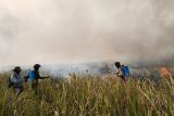 Pemprov Lampung minta kabupaten/kota lanjutkan pemantauan titik panas