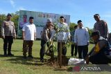 Kapolda Aceh, Irjen Pol Achmad Kartiko (ketiga kiri)  dan Pj Bupati Aceh Besar, Muhammad Iswanto (kedua kiri) bersama pengurus pesantren menanam pohon di Pesantren Modern Chiek Oemar Diyan, kabupaten Aceh Besar, Aceh, Jumat (6/10/2023). Kapolda Aceh, Irjen Pol Achmad Kartiko pada hari pertama bertugas di Aceh melakukan gerakan penghijuan menanam berbagai jenis pohon dan selain pembangunan sejumlah sumur bor dalam program nasional peduli dan lestari lingkungan. ANTARA FOTO/Ampelsa.