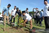 Pj Bupati Aceh Besar, Muhammad Iswanto (keempat kiri) bersama personil Polda Aceh dan pengurus dayah menanam pohon di kabupaten Aceh Besar, Aceh, Jumat (6/10/2023). Polda Aceh bersama instansi pemerintah di daerah itu melakukan gerakan penghijuan menanam berbagai jenis pohon dan selain pembangunan sejumlah sumur bor dalam program nasional peduli dan lestari lingkungan. ANTARA FOTO/Ampelsa.