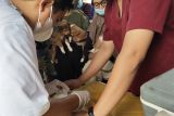 Pemkot Palangka Raya beri vaksinasi rabies gratis