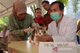 Dokter hewan memberikan suntikkan vaksin rabies pada seekor kucing milik warga saat berlangsung layanan kesehatan hewan gratis di kantor Dinas Peternakan provinsi Aceh, Banda Aceh, Sabtu (7/10/2023). Layanan vaksinasi rabies gratis  dan konsultasi kesehatan hewan yang digelar pemerintah Aceh bekerjasama dengan Fakultas Kedokteran Hewan Universitas Syiah Kuala (USK) dan Persatuan Dokter Hewan Indonesia (PDHI)  itu merupakan rangkaian kegiatan peringatan Hari Rabies Sedunia  dengan tema, 