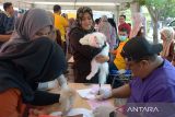 Warga membawa kucing untuk disuntik vaksin rabies di kantor Dinas Peternakan provinsi Aceh, Banda Aceh, Sabtu (7/10/2023). Layanan vaksinasi rabies gratis  dan konsultasi kesehatan hewan yang digelar pemerintah Aceh bekerjasama dengan Fakultas Kedokteran Hewan Universitas Syiah Kuala (USK) dan Persatuan Dokter Hewan Indonesia (PDHI)  itu merupakan rangkaian kegiatan peringatan Hari Rabies Sedunia  dengan tema, 