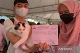 Warga memperlihatkan kartu vaksinasi rabies seusai memperoleh  suntikan vaksin untuk kucingnya di kantor Dinas Peternakan provinsi Aceh, Banda Aceh, Sabtu (7/10/2023). Layanan vaksinasi rabies gratis  dan konsultasi kesehatan hewan yang digelar pemerintah Aceh bekerjasama dengan Fakultas Kedokteran Hewan Universitas Syiah Kuala (USK) dan Persatuan Dokter Hewan Indonesia (PDHI)  itu merupakan rangkaian kegiatan peringatan Hari Rabies Sedunia  dengan tema, 