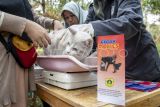 Petugas kesehatan bersiap menyuntikan vaksin rabies ke hewan peliharaan milik warga di Bogor, Jawa Barat, Sabtu (7/10/2023). Hari Rabies Sedunia yang jatuh pada tanggal 28 September tersebut dirayakan serentak seluruh Indonesia pada tanggal 7 Oktober 2023 untuk mencetak rekor MURI Vaksinasi Massal Rabies seluruh Indonesia. ANTARA FOTO/Muhammad Adimaja/foc.
