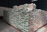 Jawa Tengah surplus beras 2,41 juta ton saat kemarau  panjang