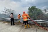 Damkarmat Lampung Selatan padamkan kebakaran di exit tol Natar