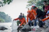 Bupati Ogan Komering Ulu tebar ribuan benih  ikan di Sungai Ogan